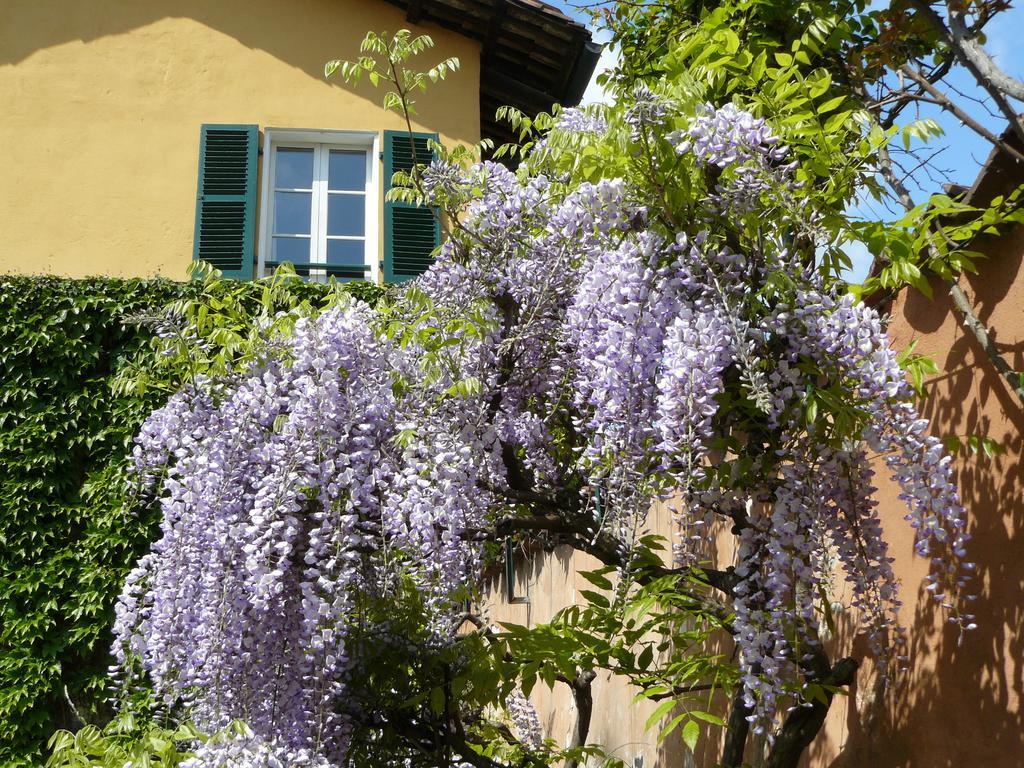 Al Concerto Bed and Breakfast San Benigno Canavese Zewnętrze zdjęcie